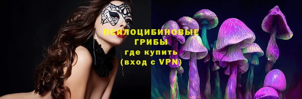 прущая мука Бронницы
