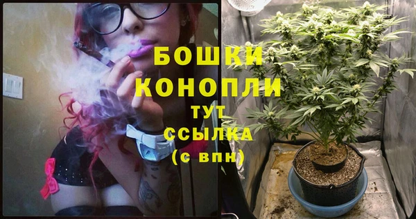бутират Бородино